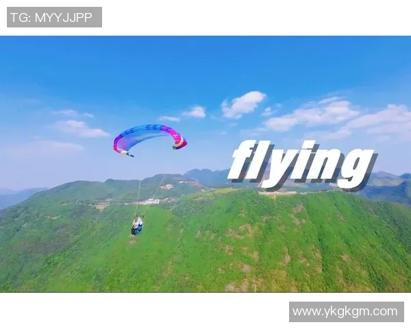 杭州极限运动队引发的意识形态争议与社会反响分析